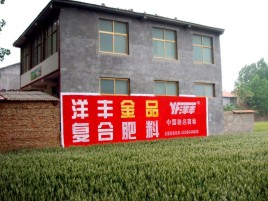 贺州如何让墙体广告展现最大化效果