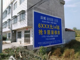 贺州墙体广告质量分析