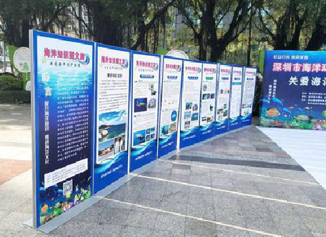 贺州KT板的种类和知识。